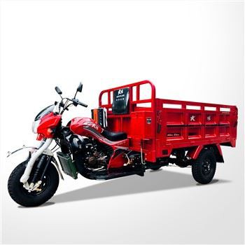 Triciclo Hidráulico Dump Cargo Motorized