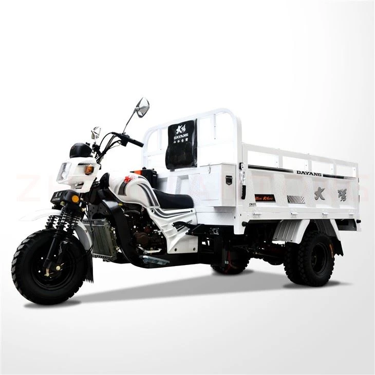 Triciclo de Carga 200cc