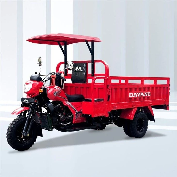Triciclo Moto Cargo 300cc