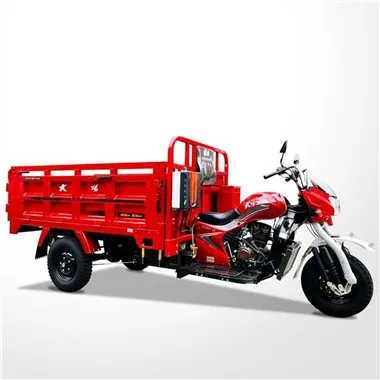 175cc 3 Rodas Cargo Trimoto