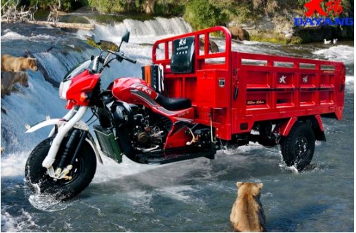 Dayang caminhão de venda quente Dayang triciclo 3 rodas modelos de motocicleta no Peru com 200cc / 250cc / 300cc