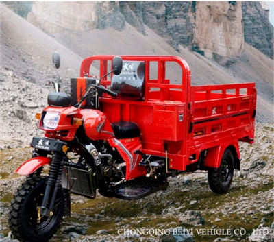 DY{0}}ZH-6 motocicleta de três rodas