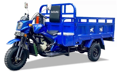 DY-200Motocicleta de três rodas ZH