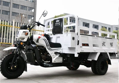 DY5-4-Chongqing Beiyi Vehicle Co.Ltd