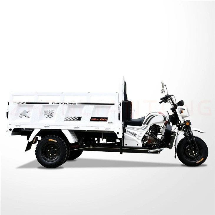 Stable Operation Custom Cheap Motorcycle Tricycle 250cc Uzbekistan Mopes Motorcycle Cargo Agricultural Tricycle